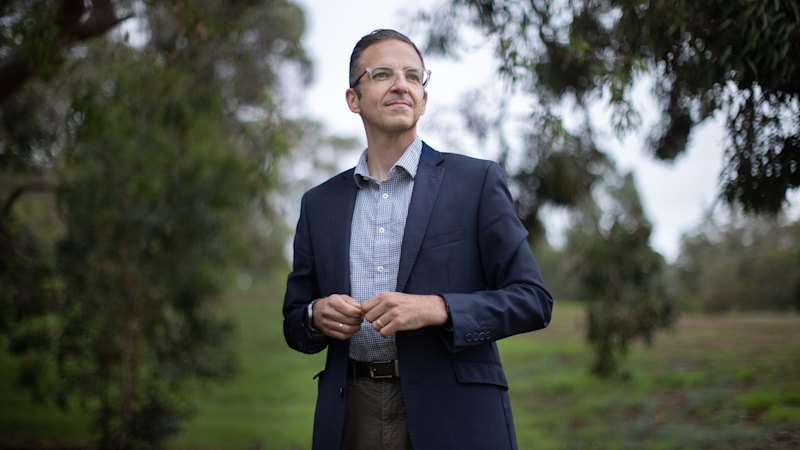 Fake grass banned at new housing development