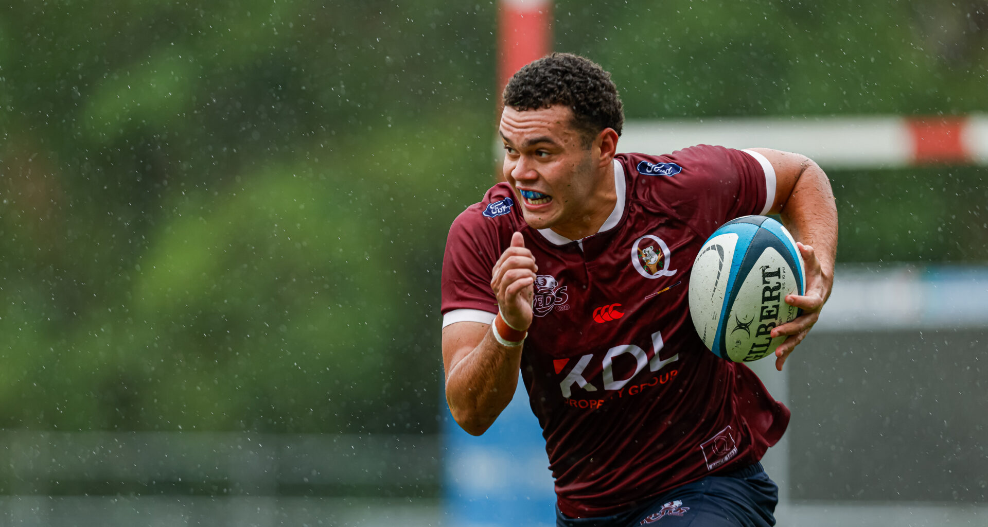 Queensland Reds Rugby