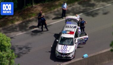 Police shoot allegedly armed man on Sunshine Coast after car crash
