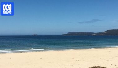 Woman dies in boating mishap near Tasmania's Marion Bay