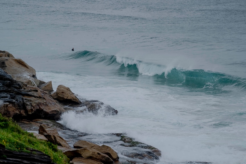 Large waves hitting rocks on a gloomy day with a swimmer in the water.