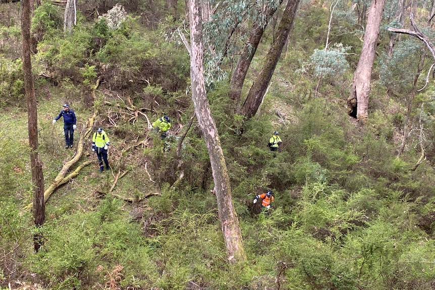 Half a dozen people in yellow and orange high vis jackets search through bush on a steep downward slope.