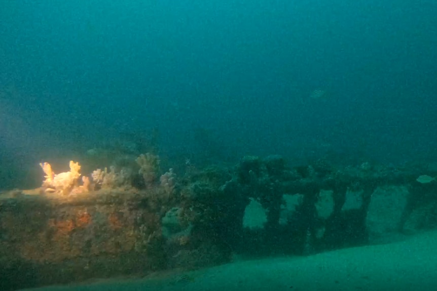 An underwater photo of divers shining a light on a shipwreck.