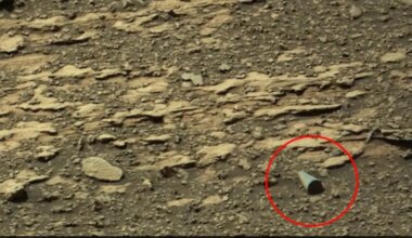 Mysterious 'Shiny' Geometric Object Spotted On Mars, Harvard Astronomer Asks NASA To Investigate