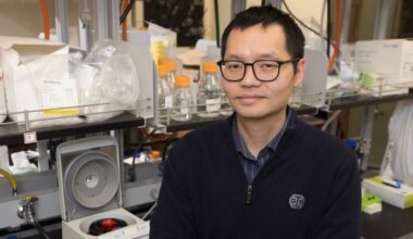 Research Could Reframe Understanding Of Alzheimer's