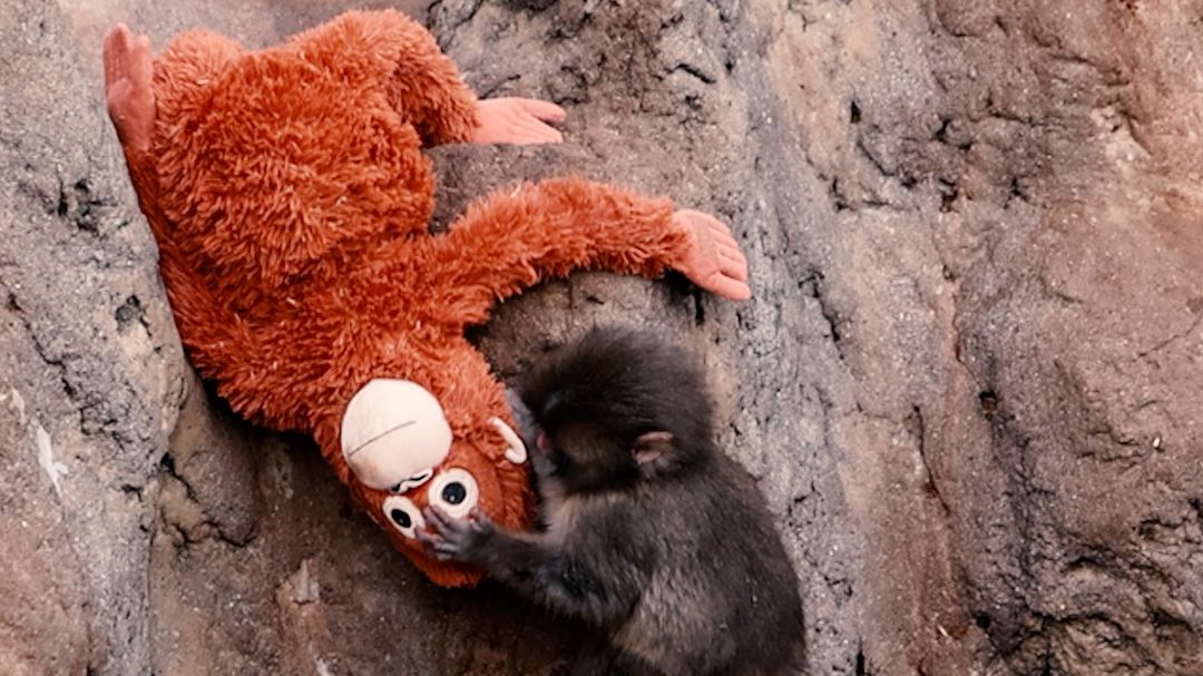 20260305 PUNCH 003.00_00_01_01.Still005.jpg