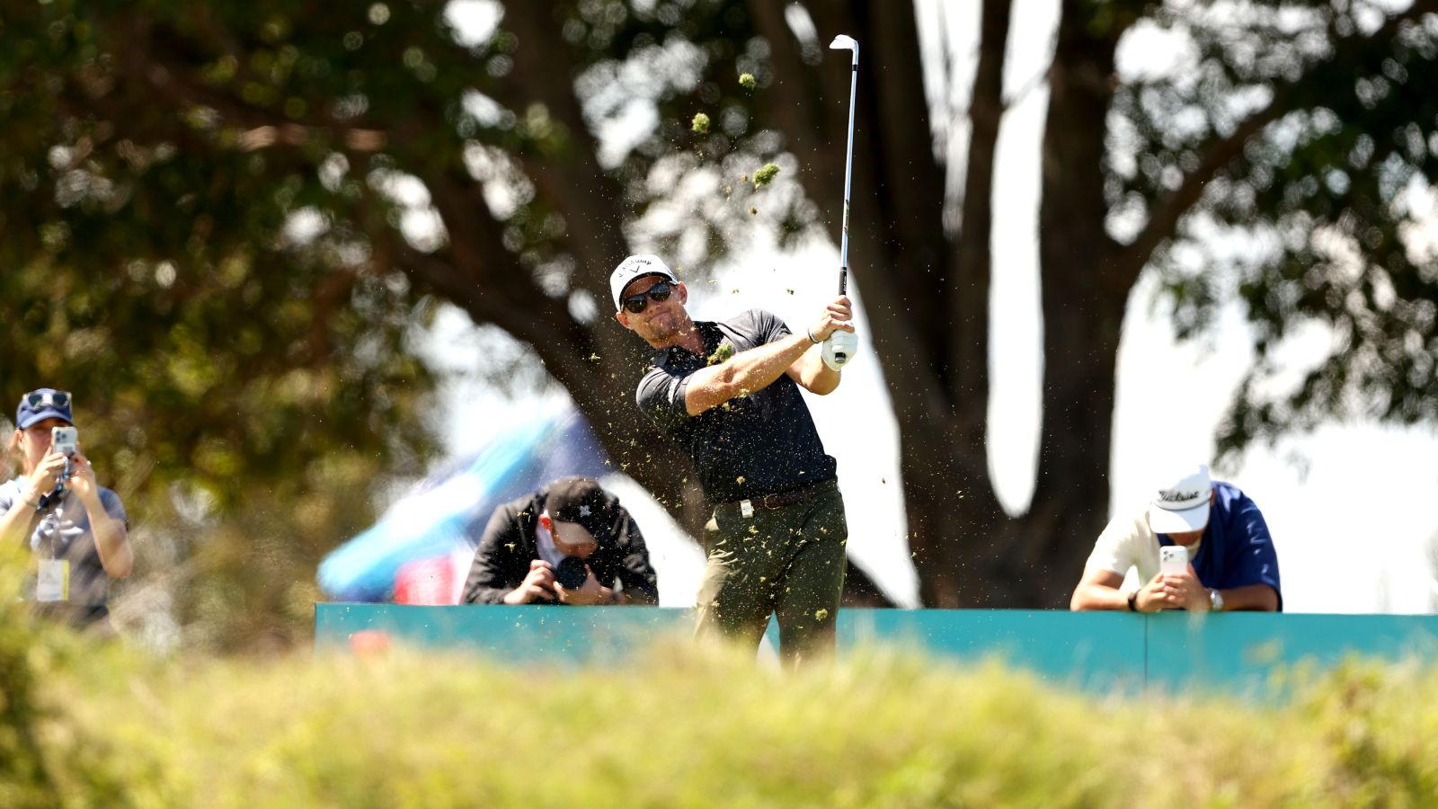 Marchesani, Gale lead Australian charge in Auckland - News