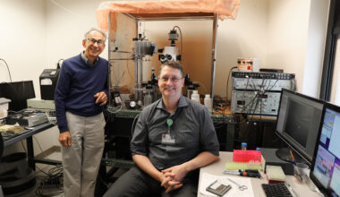 Brief Oxygen Shortage May Harm Preterm Brain Growth