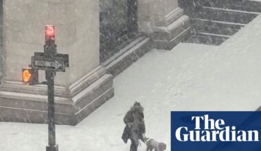 ‘People were carrying their dogs across the ice’: Adela Ramirez’s best phone picture | Photography