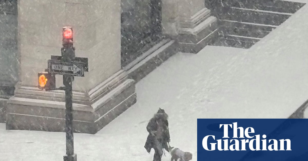 ‘People were carrying their dogs across the ice’: Adela Ramirez’s best phone picture | Photography