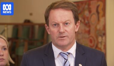 Liberals to retain SA opposition status despite One Nation's second seat, ABC projects