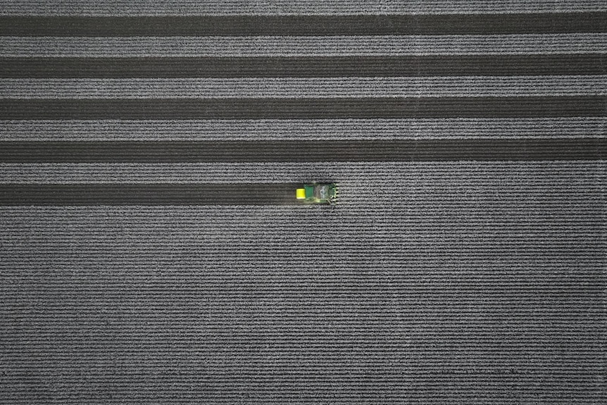 Birds eye view of a cotton paddock