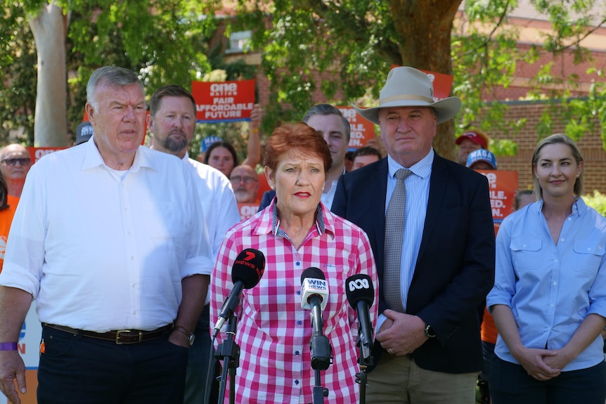 Pauline Hanson stands behind a microphone talking to the media