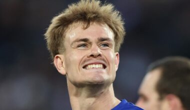 Canterbury Bankstown Bulldogs halves, Lachlan Galvin, halves problem, Matt Burton, NRL360, news, videos, highlights