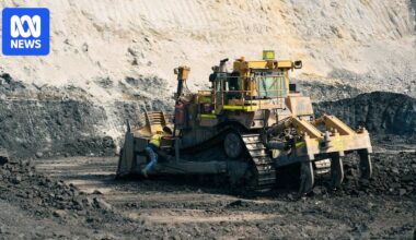 Botanist gave early warning on rehab difficulties for troubled Griffin Coal's Collie mine site