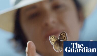 Four wives, two passports and a very elusive butterfly: one woman’s search for her lepidopterist father | Documentary films