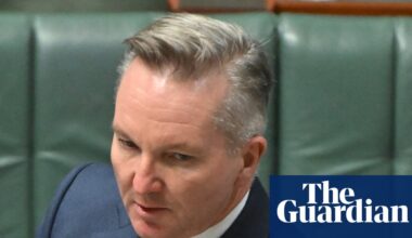 Hundreds of petrol stations across Australia run out of fuel as Labor inks supply deal with Singapore | Petrol prices