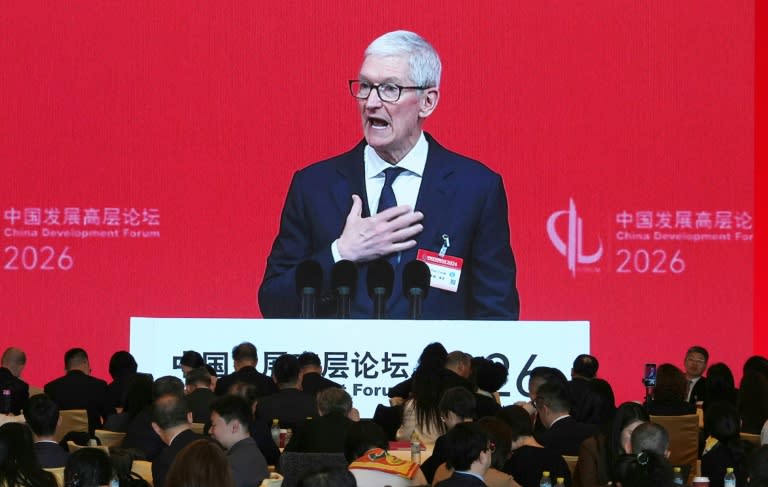 Apple CEO Tim Cook makes regular visits to China (Ng Han Guan)