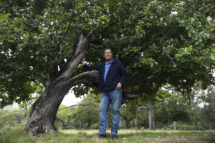 Man in blue jeans and blue jacket, standing in front of large apple tree.