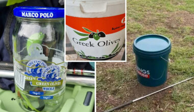 Aussies warned about backyard mistake after venomous find in olive jar: 'Need to understand'