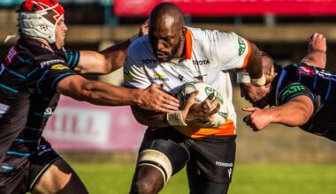 Third round action to further shape top half of log