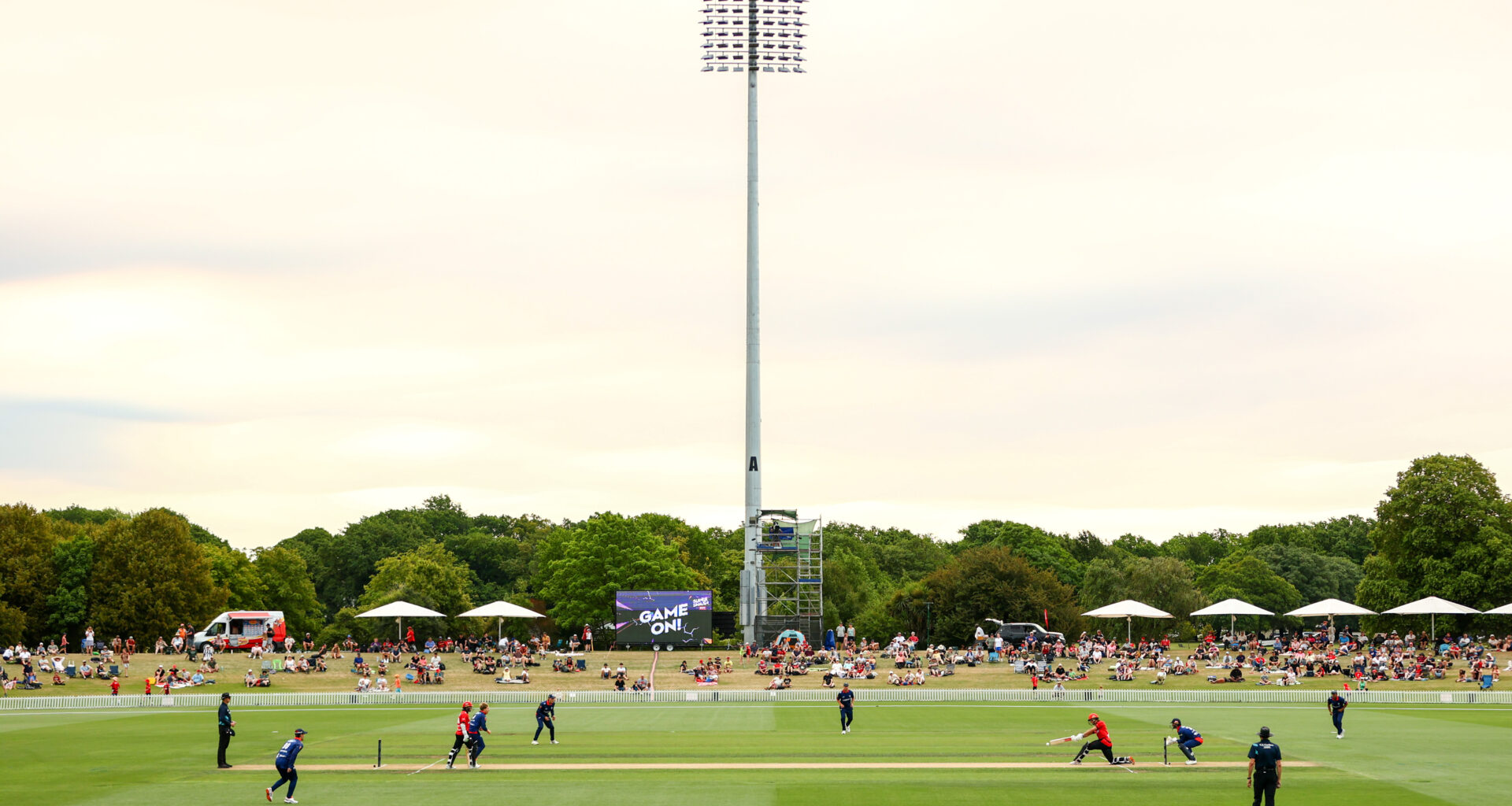 NZ20 named as preferred T20 option