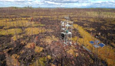 Burned Peatlands Emit Carbon Long After Wildfires