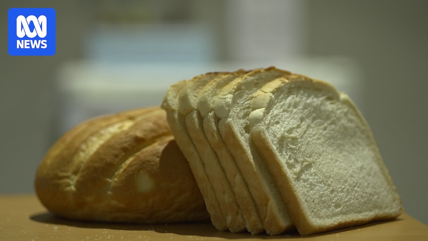 The new health-boosting wheat ready to change the Western diet