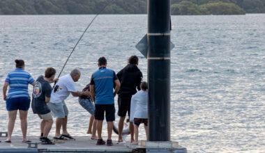 New rules 'forced' upon Aussie fishermen after worrying decline in numbers