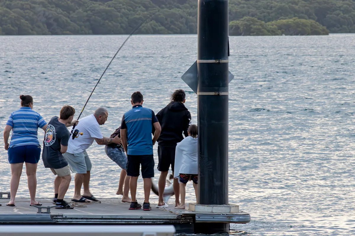 New rules 'forced' upon Aussie fishermen after worrying decline in numbers
