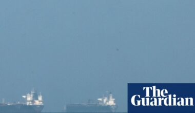 ‘A big burden for farmers’: Gulf shipping crisis threatens food price shock | Supply chain crisis