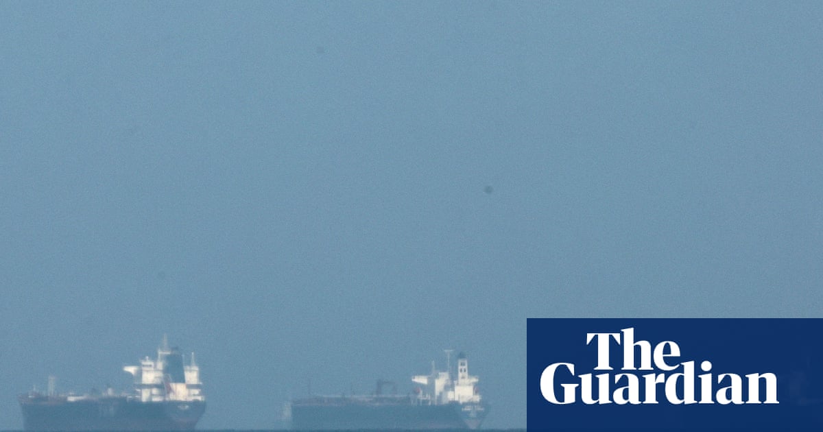 ‘A big burden for farmers’: Gulf shipping crisis threatens food price shock | Supply chain crisis