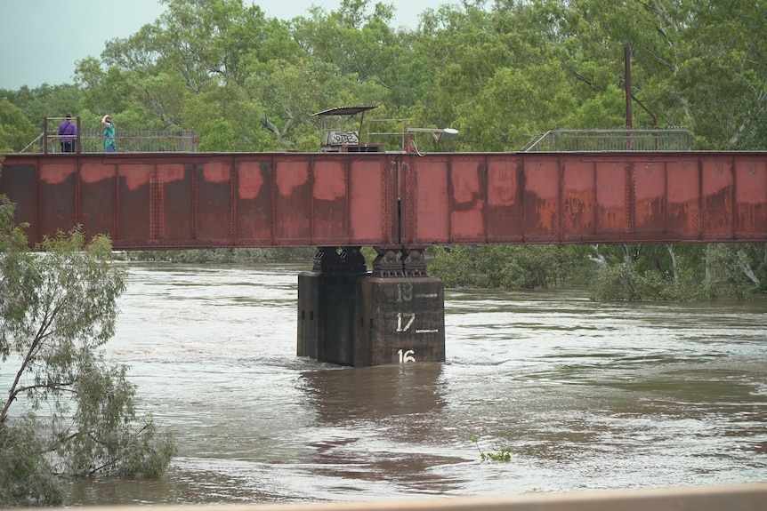 A flooded river reaching the 16m mark, with slight rain coming down.