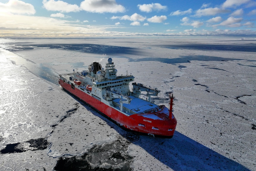 Australia's icebreaker the RSV Nuyina ploughing through ice