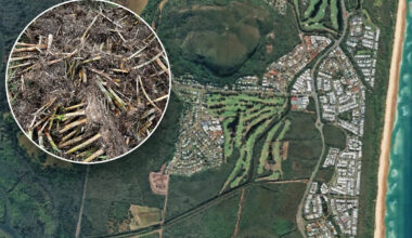 Shocking scene in Aussie national park prompts warning after 270 fines issued: 'Nightmare'