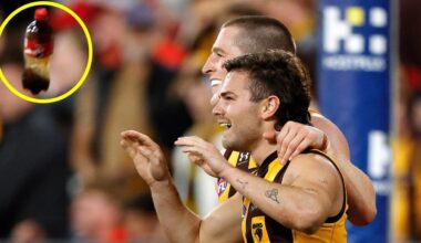 AFL hand out monster ban over ugly incident