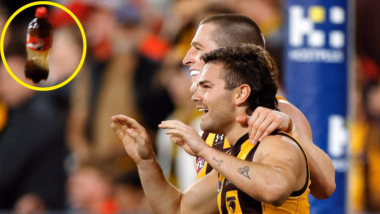 AFL hand out monster ban over ugly incident