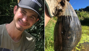 Alarming find in Aussie dam prompts urgent warning over invasive species: 'Didn't take long'