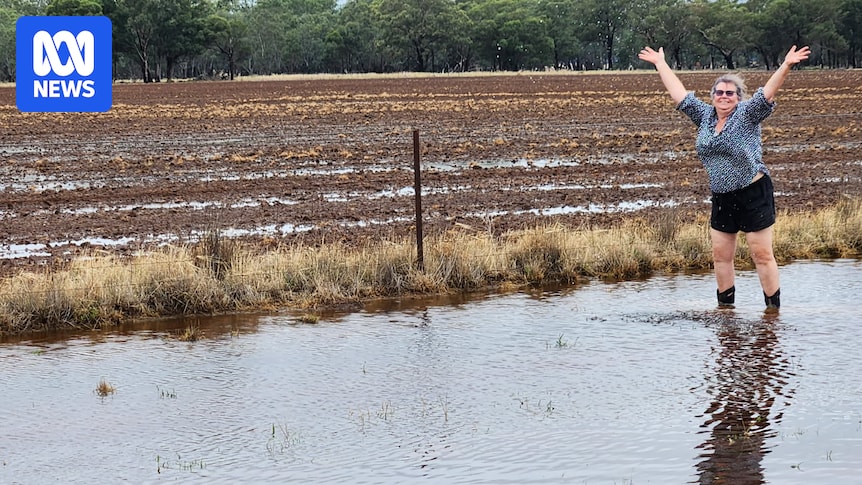 Best rain in six months a relief for drought-hit southern NSW farmers