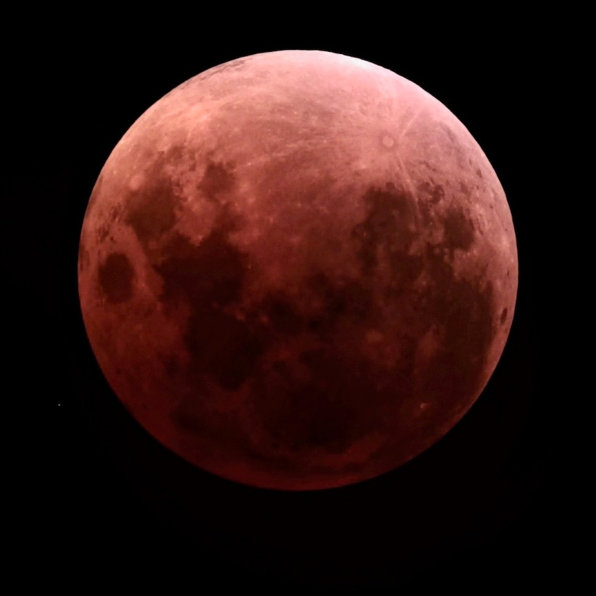 A pink-orange moon in the night sky