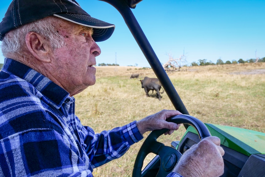 A man in a blue shirt drives a four-wheeler. 