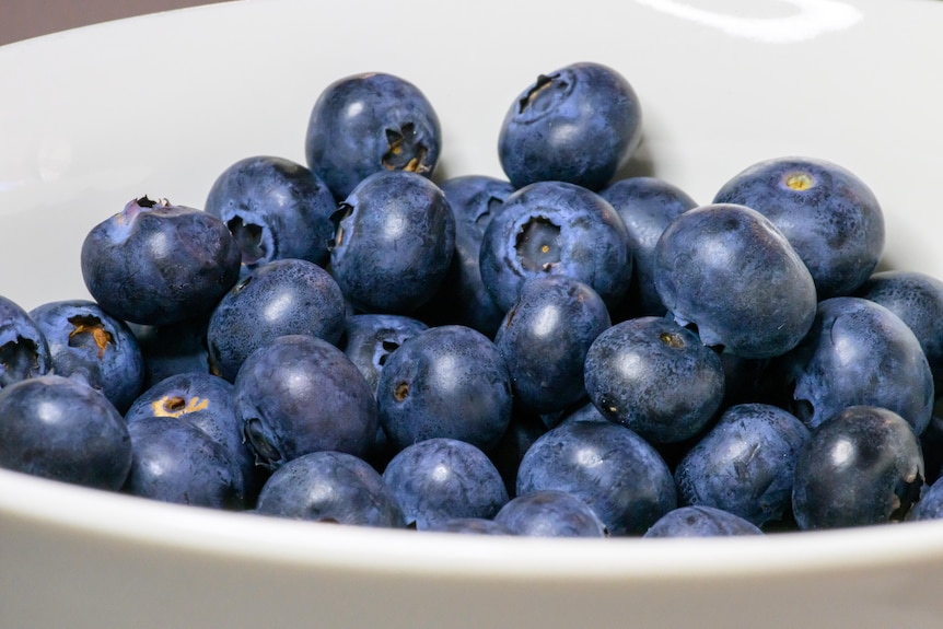 a bowl of blueberries