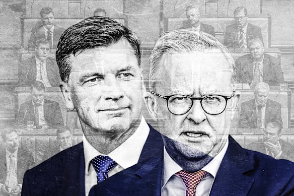 A bad case of bipartisan support … Prime Minister Anthony Albanese and Opposition Leader Angus Taylor.