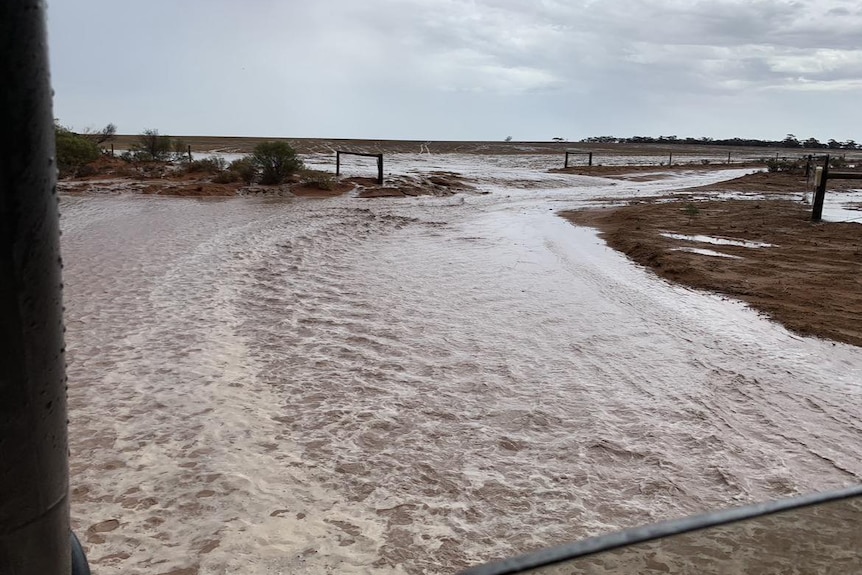 Water covers a paddock.