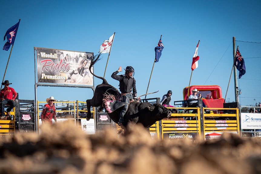 Bullrider wide near sand