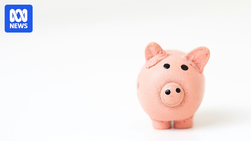 Economist blames ACT's fiscal deterioration 'entirely' on policy decisions as Barr defends spending