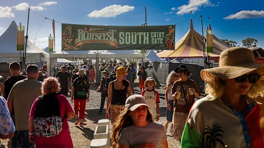 Bluesfest 2025 proved a hit, attracting a near capacity crowd.