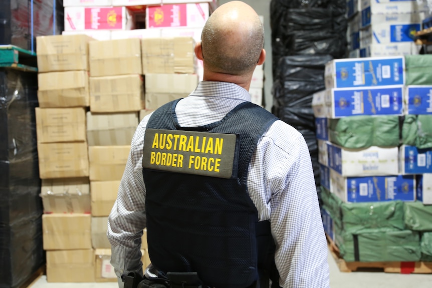 Man with border force vest looks up at tobacco boxes