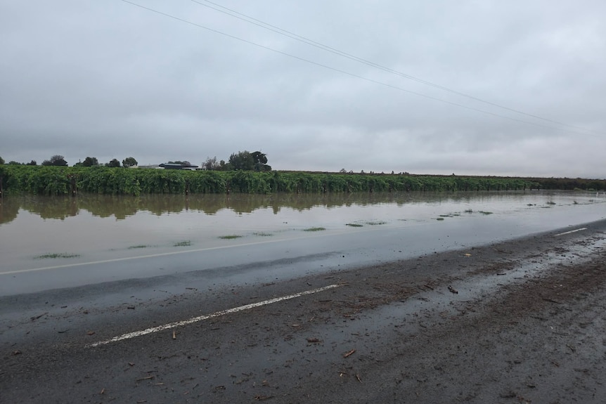 Flash floodwater from a vineyard flows over a road and down towards a neighbouring property.