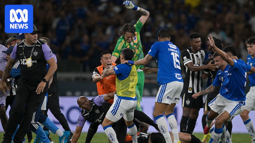 Violent brawl between Cruzeiro and Atletico Mineiro in Brazilian league sees 23 players red-carded